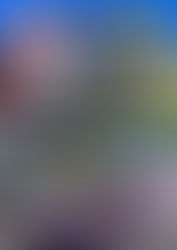 ジュニア練習会 10月開催のお知らせ