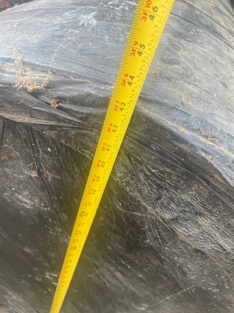 Thumbnail: 48 inch pipeline pigs