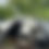 Thumbnail: Plastic Pipes