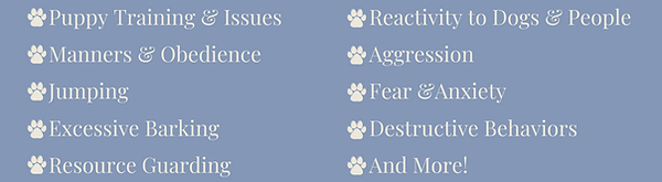 Issues RPDT 2 (1).png