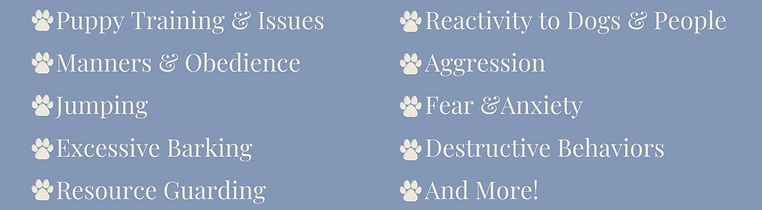 Issues RPDT 2 (1).png