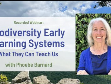 Biodiversity early warning systems