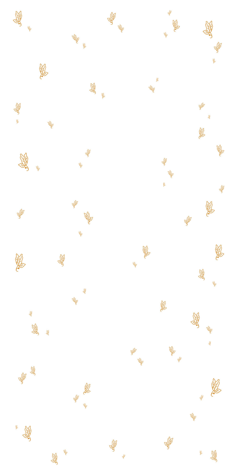 TO_web_pozadi_vzor_brown_02.jpg