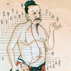 Kodama Centro Olistico