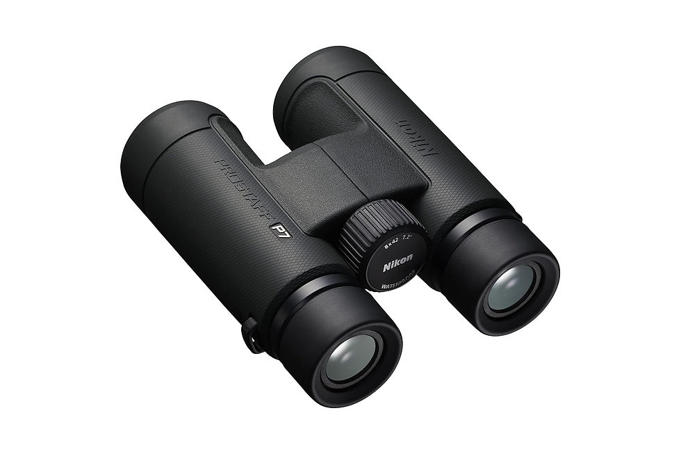 Miniatura: Binocolo Nikon Prostaff P7 8x42