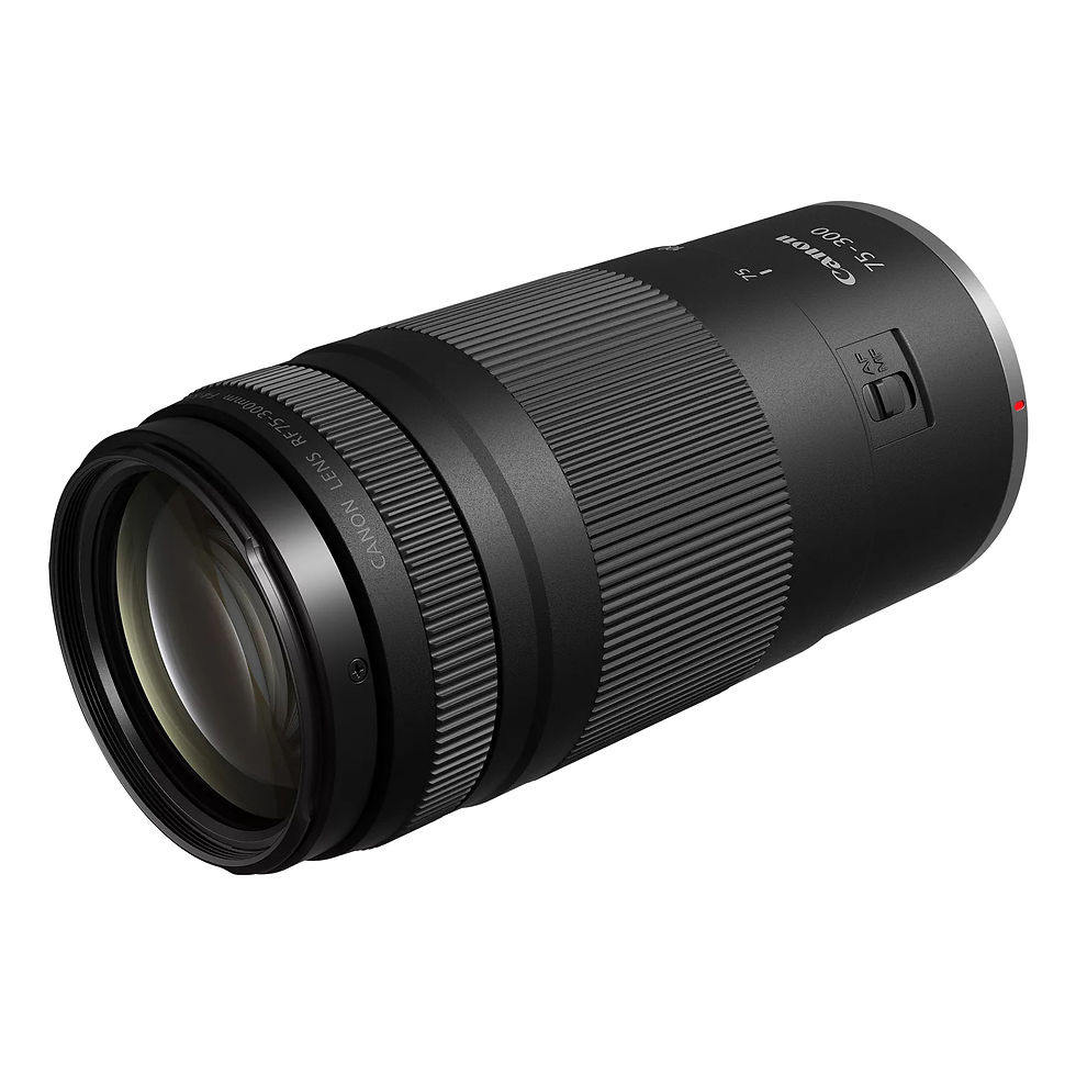 Miniatura: Canon RF 75-300mm F/4-5.6