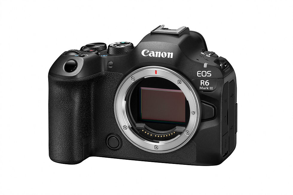 Miniatura: Canon EOS R6 Mark III body
