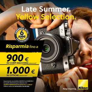 Late Summer Yellow Selection 2026