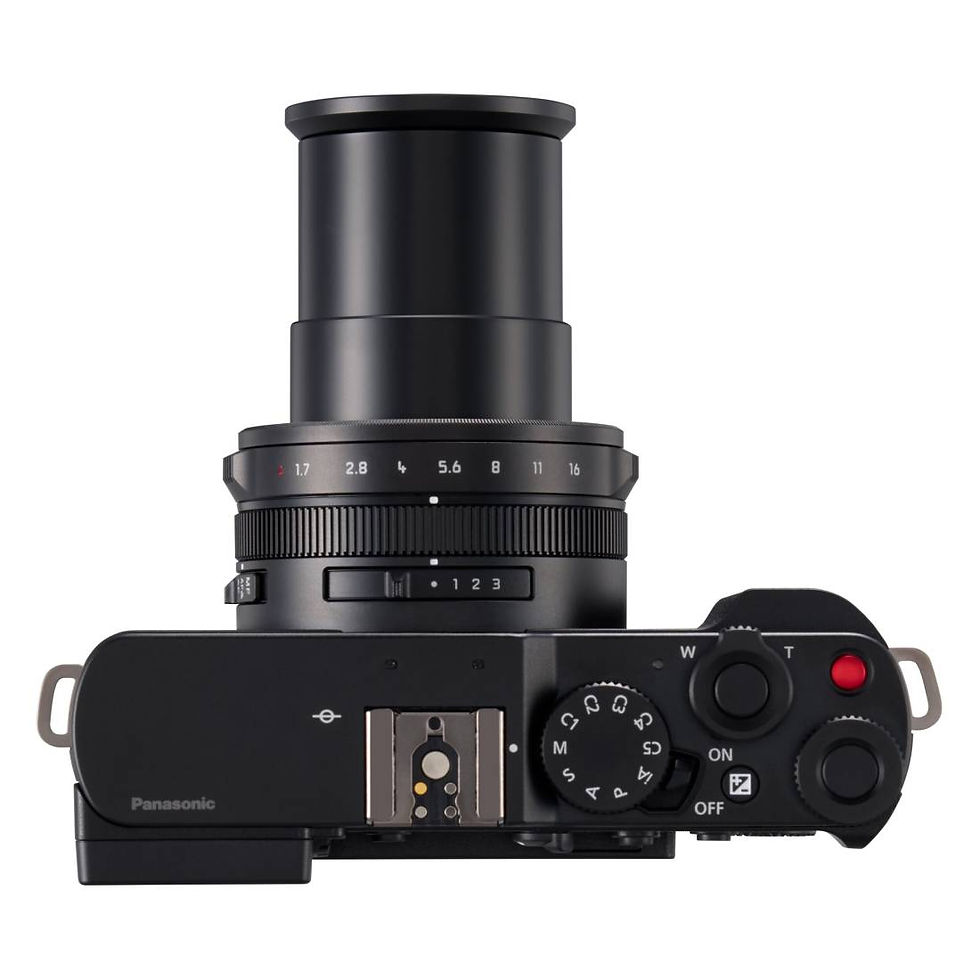 Miniatura: Panasonic LUMIX L10