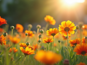 Embracing Renewal: How to Create a Memorable Springtime Experience in Your Home