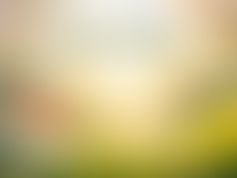 Welcome Spring: A Season of Renewal and Care