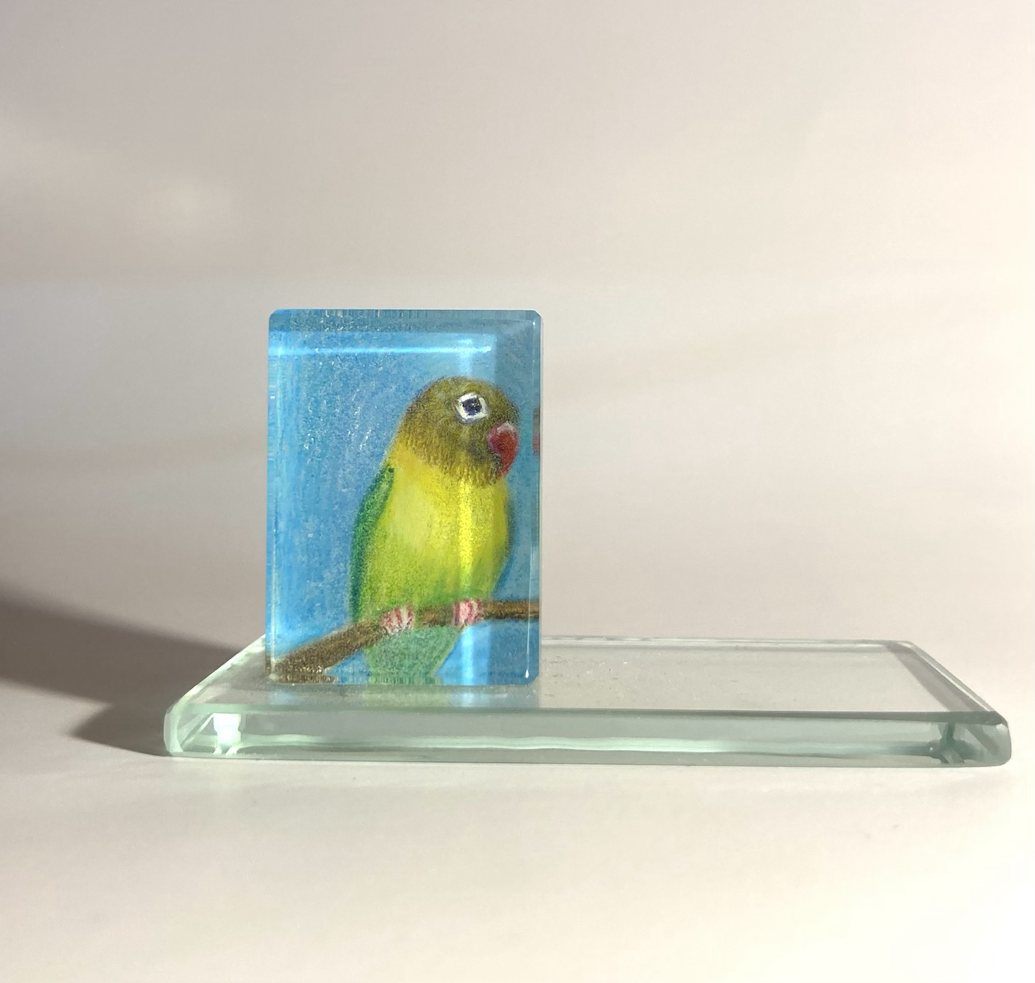 カードスタンド　ボタンインコ