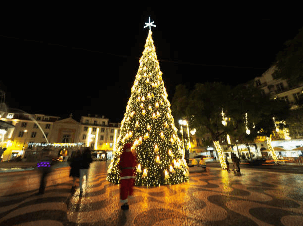 biggest Christmas trees