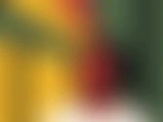Ilustração estilizada do Rapper BK com cabelo e barba pretos, rosto vermelho, fundo verde e amarelo com faixas pretas radiais.