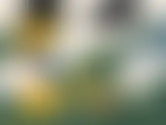 Além de um sublime desencanto