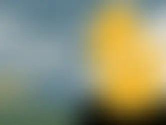 Para as coisas permanecerem iguais, elas precisam mudar