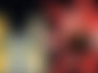 Corre lá vem o boi!
