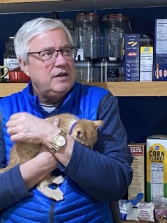 Orange tabby kitten in a friends arms.