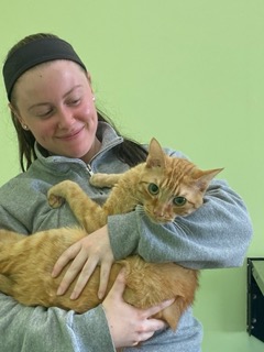 Vet tech holding orange tabby in her arms.