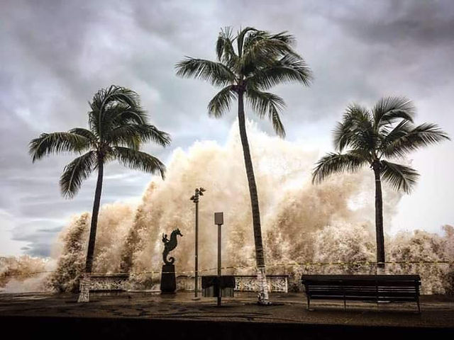 The hurricane we got in Puerto Vallarta 2018, palm trees in front of storm cloud.