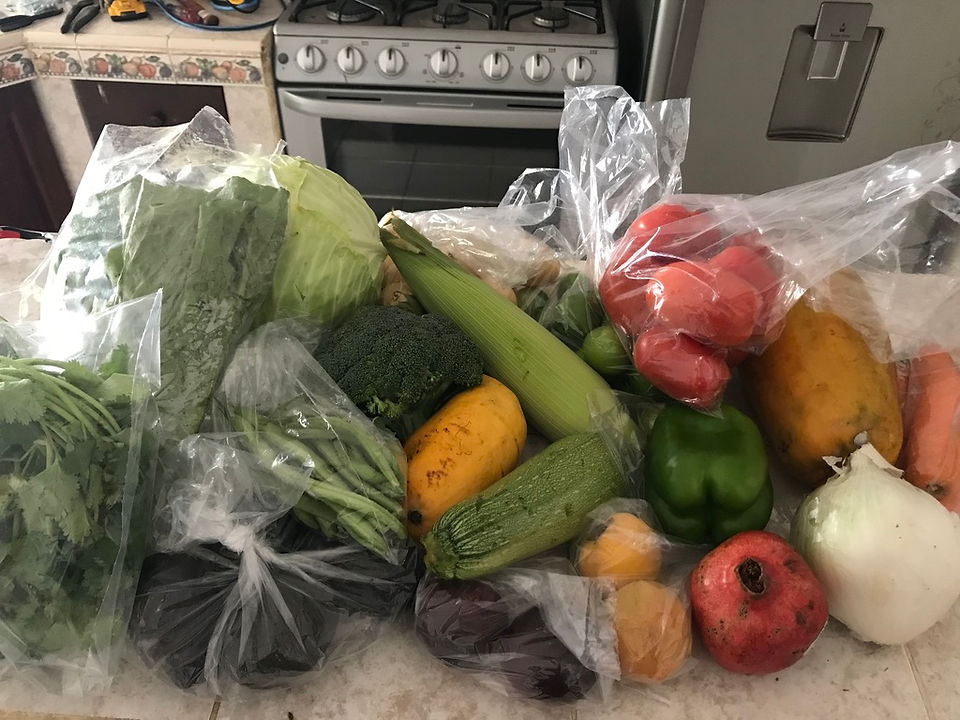 Fresh veggies on the counter