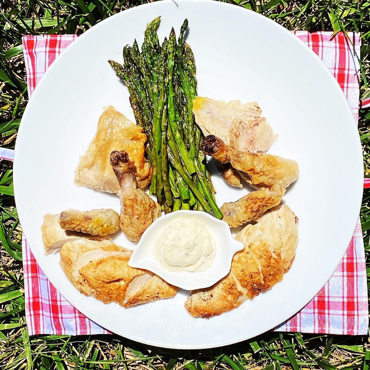Cornish Hen w/ Rosemary Aioli with asparagus on a white round plate on top of a white and red checkered cloth on the grass.
