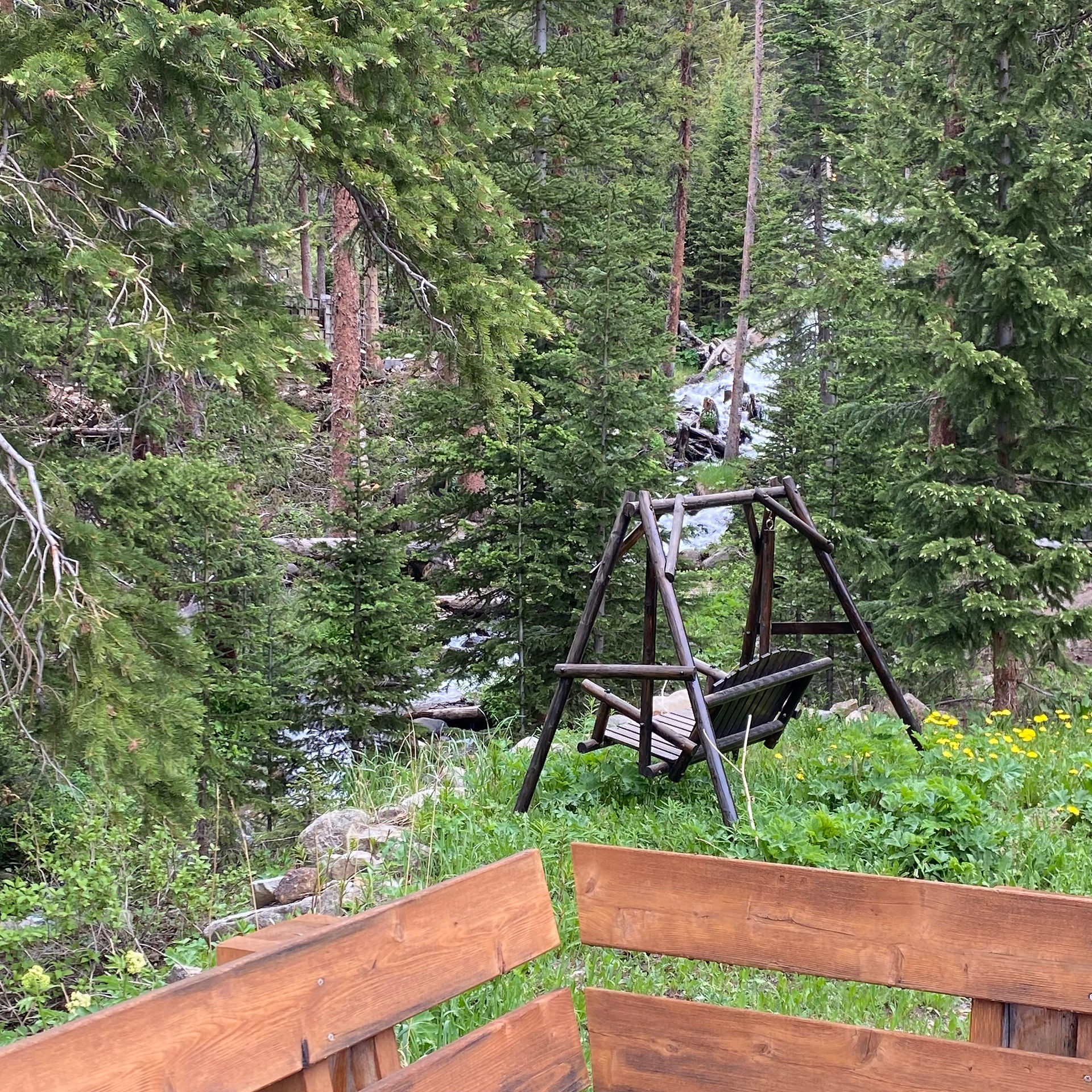 Micro Wedding in Idaho Springs
