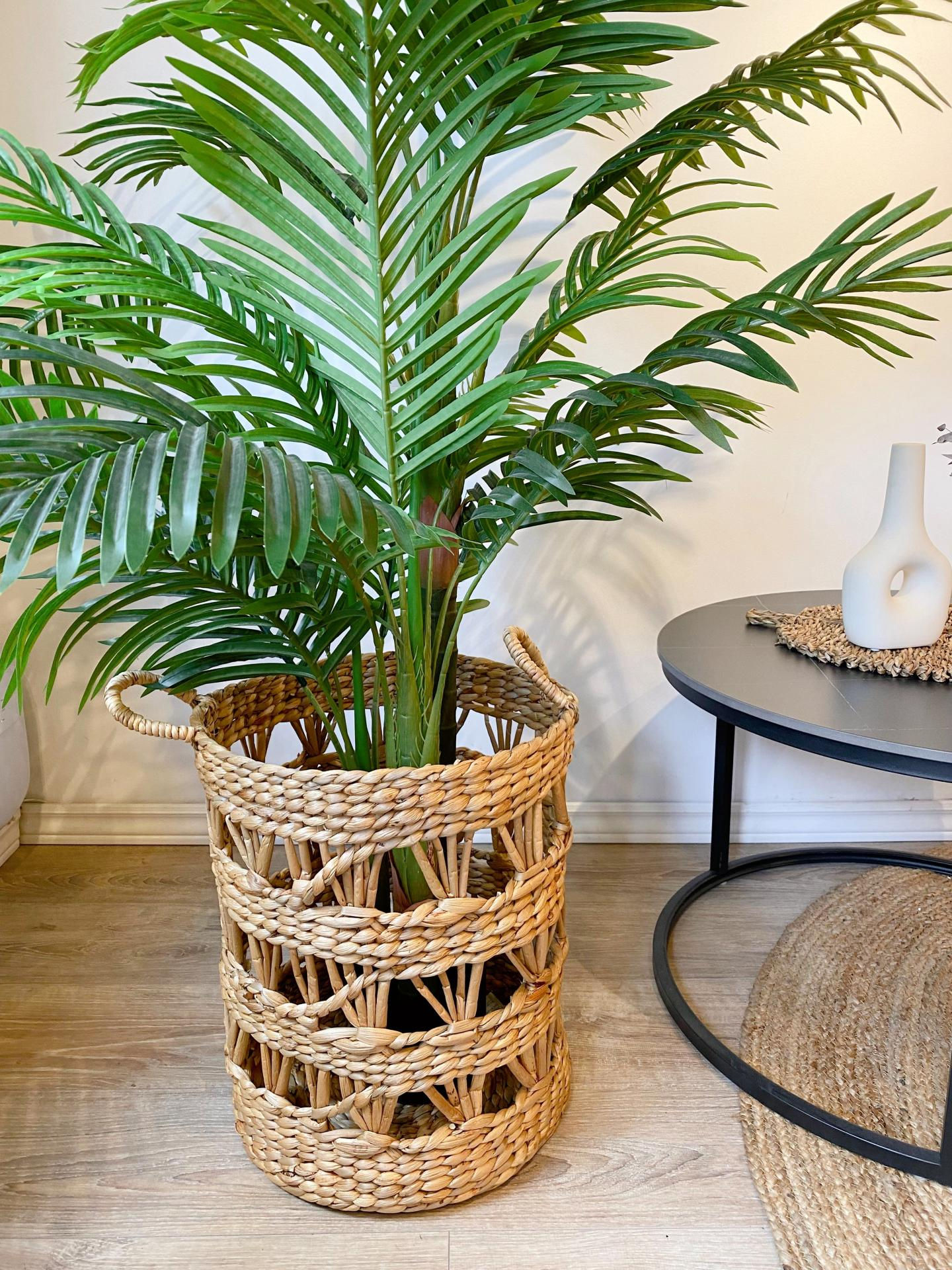 Macetero Jacinto Trenzado