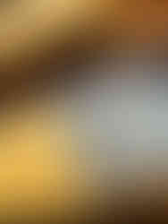 Mustard velvet chair styled with Poolside with Slim Aarons book in living room sunlight