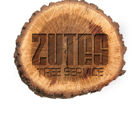 Zutes Tree Service Rochester NY Stump Removal 585-303-2143