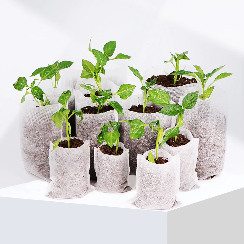 Thumbnail: Biodegradable Nonwoven Fabric Plant Grow Bags Seedling Eco-Friendly Ventilated