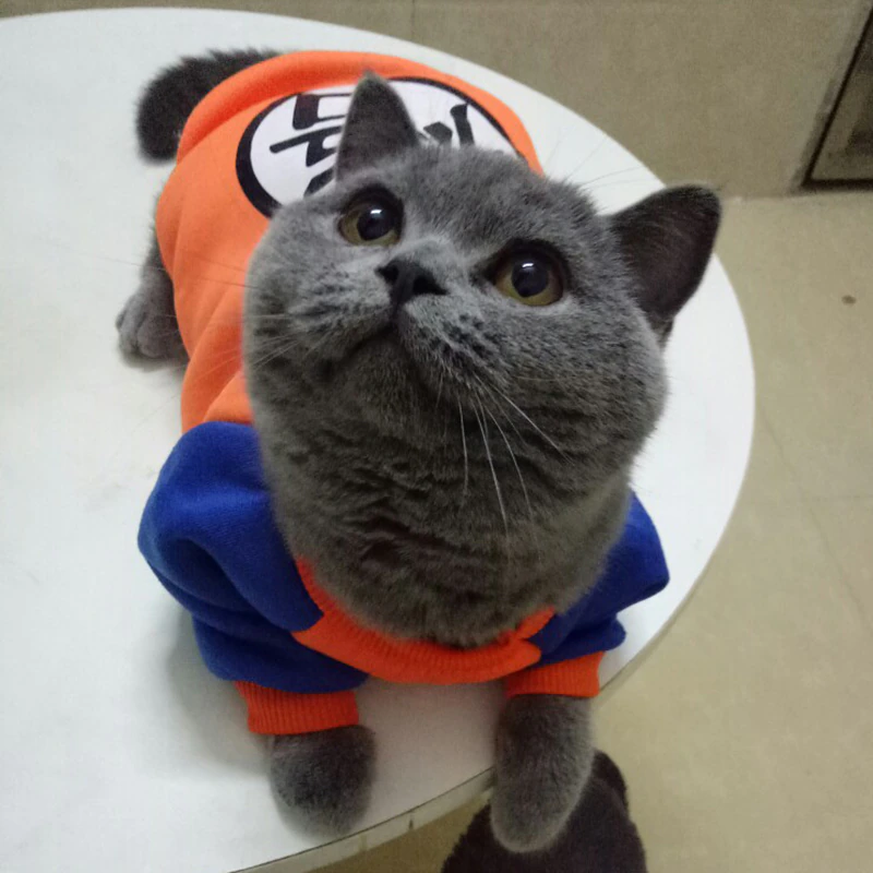 Thumbnail: Fashion Pet Cat Costume Vest Hoodie Cozy Outfit