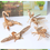 Thumbnail: Baby Toy Montessori 3D Puzzle DIY Jigsaw Board Wooden Puzzle Insect Educational
