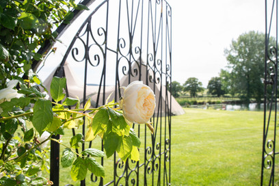 Countryside rural tipi wedding venue at Far Coley Farm Staffordshire looking through the rose covered gate
