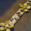 Thumbnail: The Golden Dogwood