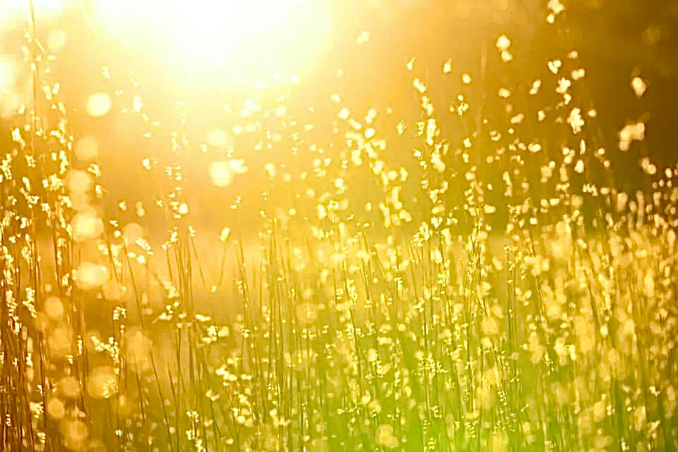 Thumbnail: A Sunrise in Spring