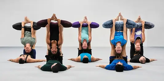 acro website.webp