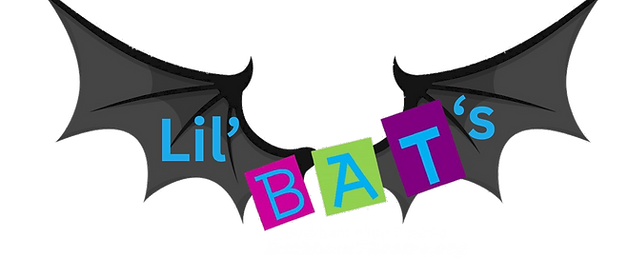 Lil' BAT's Logo - White.png