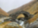 Brücke Septimer.jpg