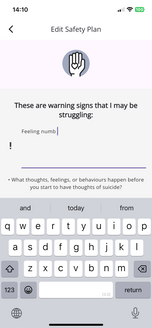 Safety plan edit page