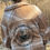 Thumbnail: One More Chapter Fleece Shacket
