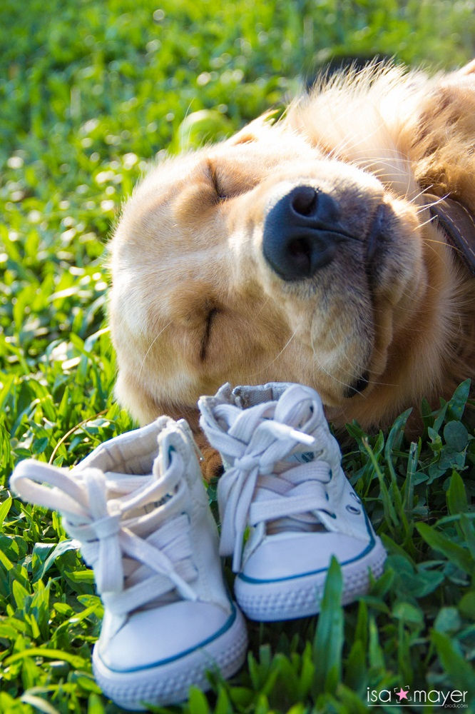 Ensaio gestante - Noah (79)