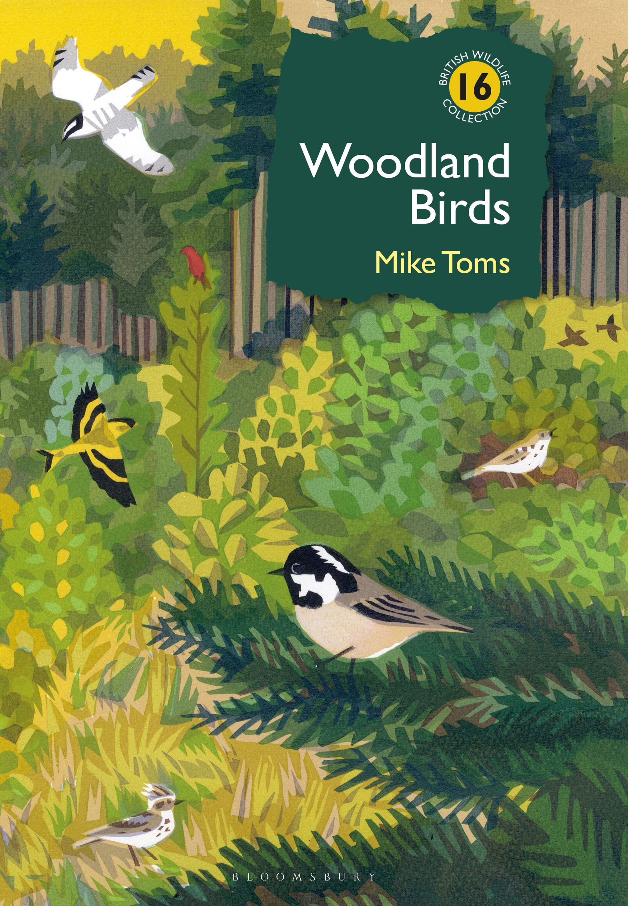 Woodland Birds