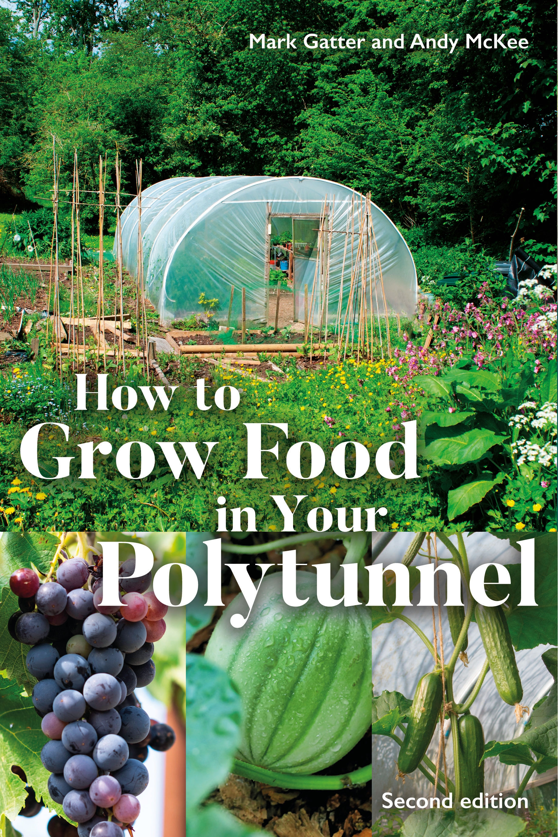 How to Grow Food in Your Polytunnel