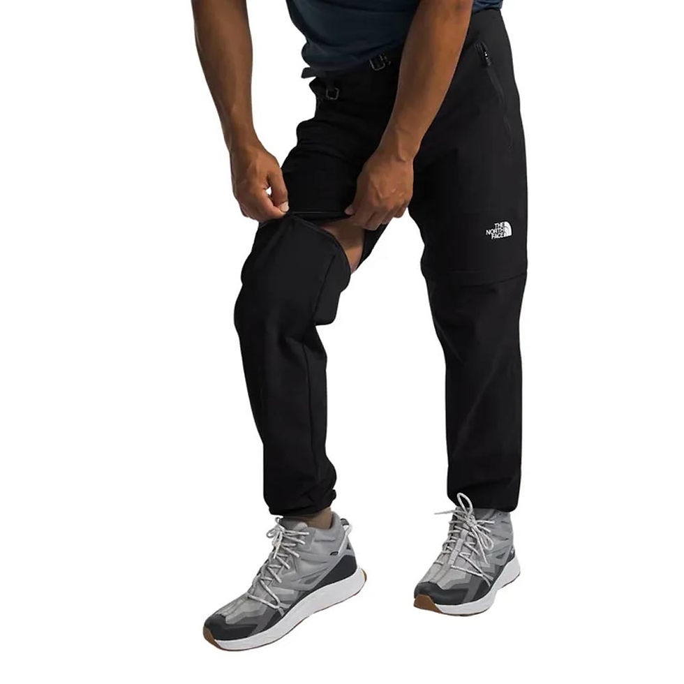Thumbnail: THE NORTH FACE Mens Paramount Pro Convertible Pants Black
