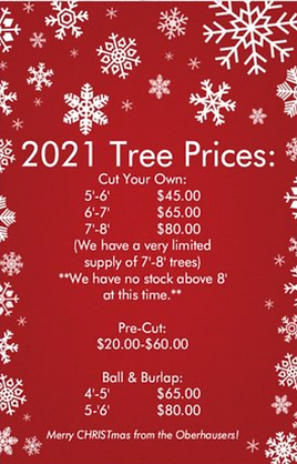 2021 wtf prices.png
