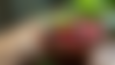 Is Edible Skincare the Next Big Thing in Beauty Innovations?