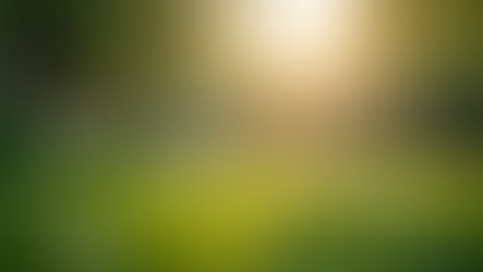Rediscovering Serenity: How Ayurveda Unlocks the Joy of Slow Living in a Fast-Paced World