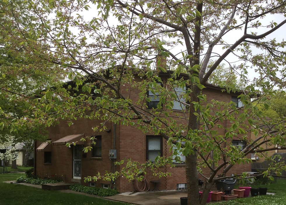 back of house