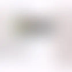 🟡 XAUUSD Daily Market Analysis—14 January 2026